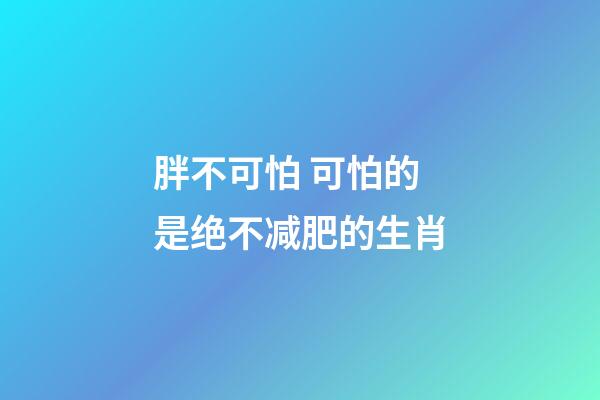 胖不可怕 可怕的是绝不减肥的生肖